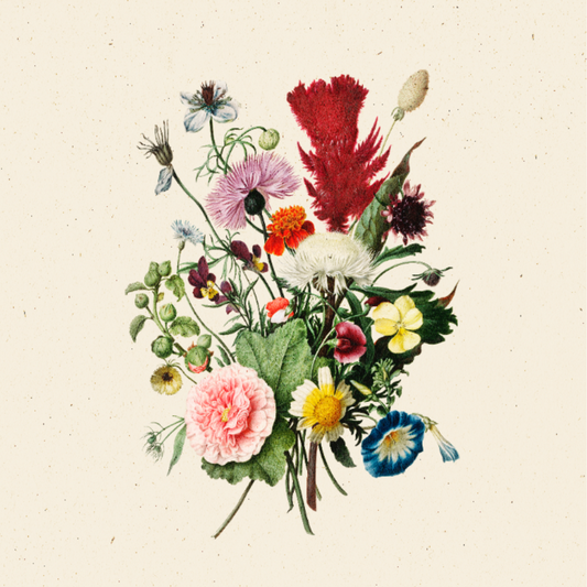Bouquet