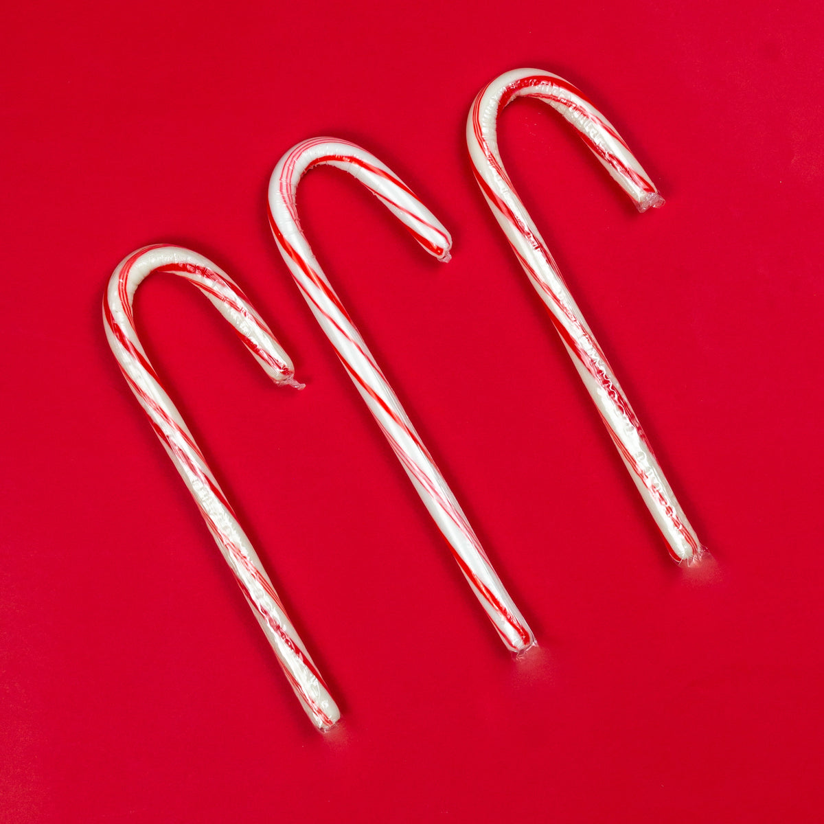 Candy Cane